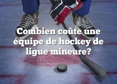 Combien coûte une équipe de hockey de ligue mineure?