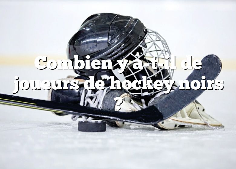 Combien y a-t-il de joueurs de hockey noirs ?