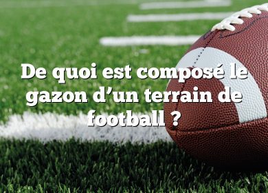 De quoi est composé le gazon d’un terrain de football ?