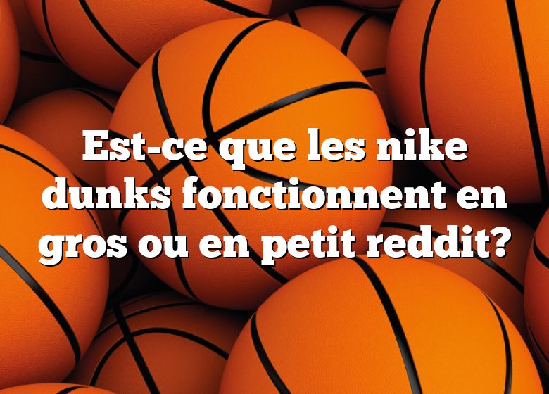 Est-ce que les nike dunks fonctionnent en gros ou en petit reddit?