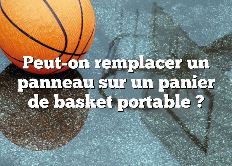 Peut-on remplacer un panneau sur un panier de basket portable ?