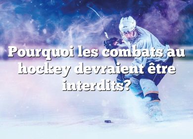 Pourquoi les combats au hockey devraient être interdits?