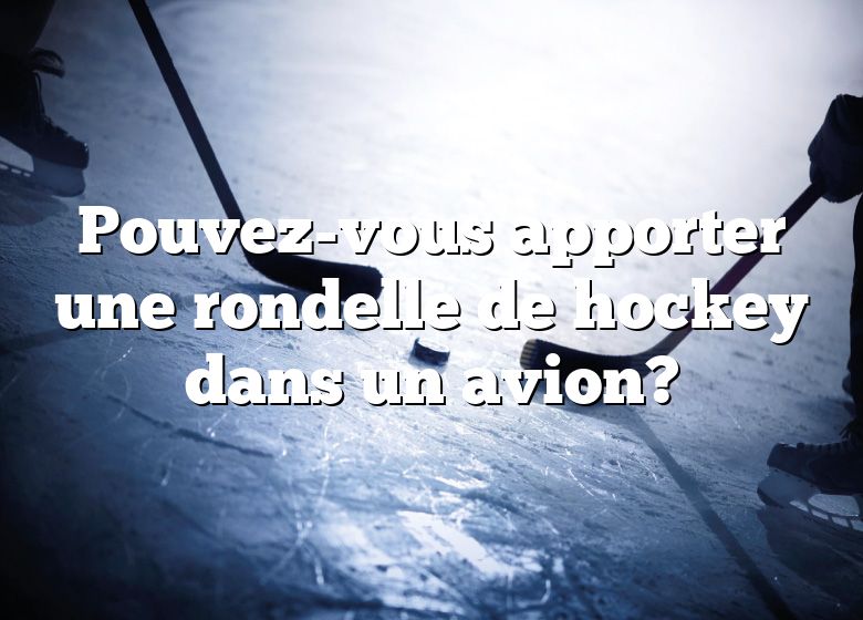 Pouvez-vous apporter une rondelle de hockey dans un avion?