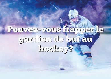 Pouvez-vous frapper le gardien de but au hockey?