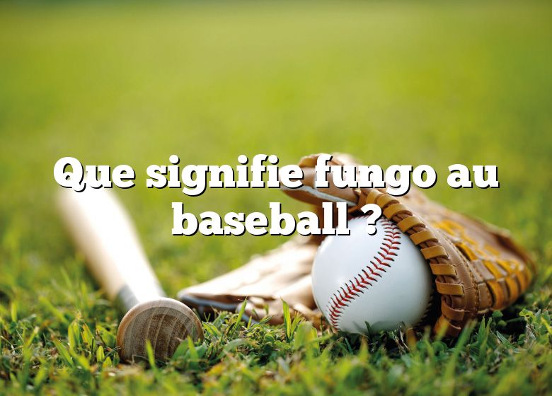 Que signifie fungo au baseball ?