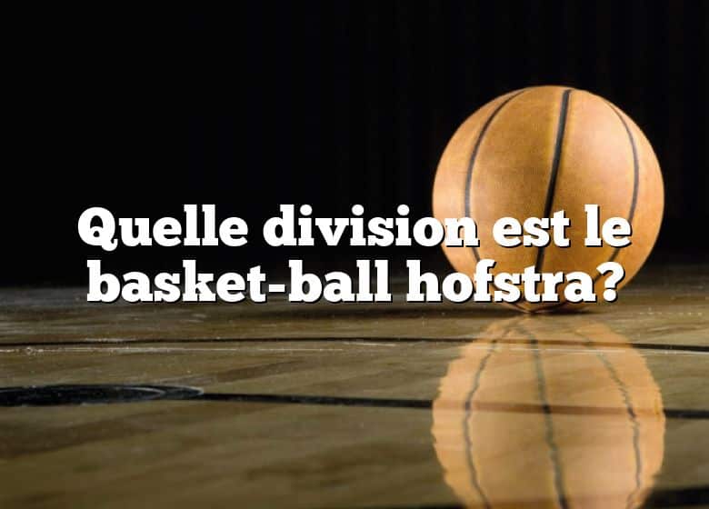 Quelle division est le basket-ball hofstra?