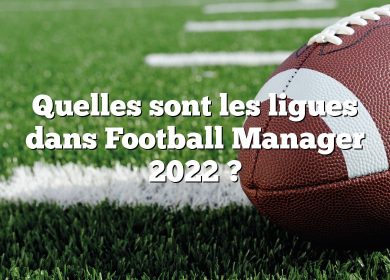 Quelles sont les ligues dans Football Manager 2022 ?