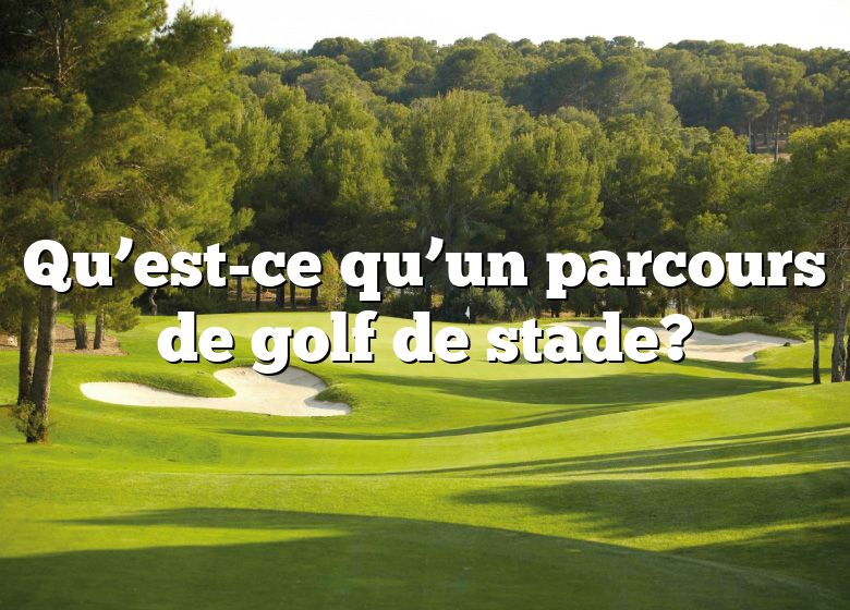 Qu’est-ce qu’un parcours de golf de stade?