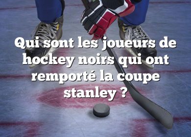 Qui sont les joueurs de hockey noirs qui ont remporté la coupe stanley ?