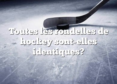 Toutes les rondelles de hockey sont-elles identiques?