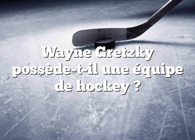 Wayne Gretzky possède-t-il une équipe de hockey ?